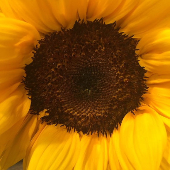 Meet your Posher, Stephanie - Picture 1 of 1