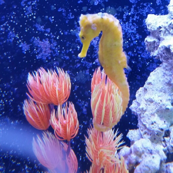 Meet your Posher, Charisse