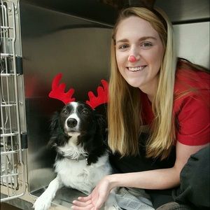 Meet your Posher, Cassidy