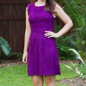 Stitch Fix Brixon Ivy Medina Lace Dress - Fuchsia