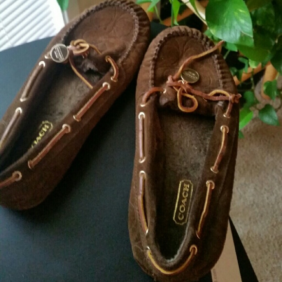 Coach Brown Flat Shoes