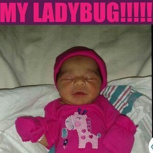 Meet your Posher, Gerlander