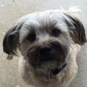 Meet your Posher, Joy