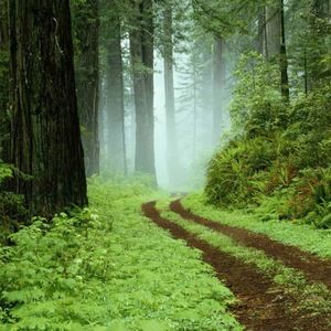 Meet your Posher, Cory