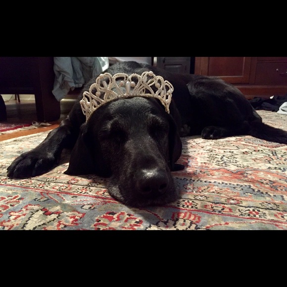 Meet your Posher, Shaila