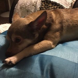 Meet your Posher, Corina