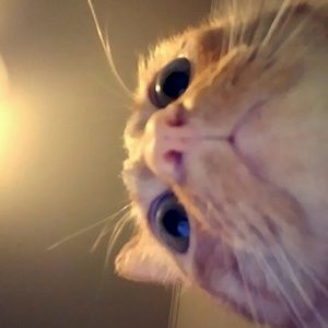 Meet your Posher, Teresa