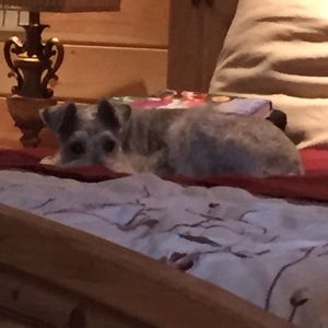 Meet your Posher, Rhonda