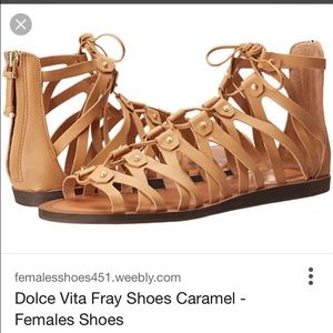 ISO: Dolce vita Fray sandals