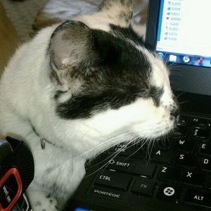 Meet your Posher, Melanie