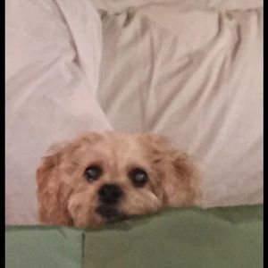 Meet your Posher, Estee