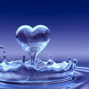 Meet your Posher, Patti