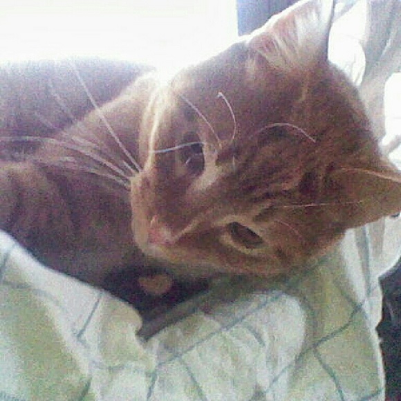 Take a peep..👀.. a good time will be had by all! - Picture 2 of 4