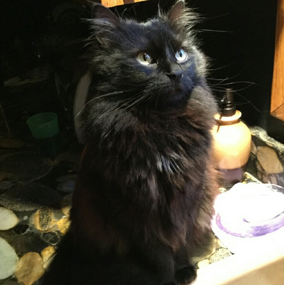 Take a peep..👀.. a good time will be had by all! - Picture 3 of 4