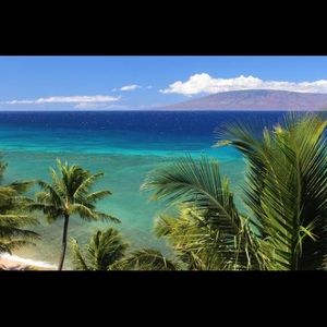 Meet your Posher, Desiree