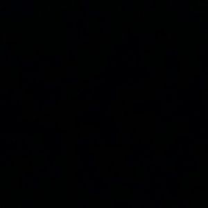 Meet your Posher, Lydia