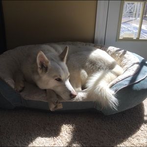 Meet your Posher, Tara