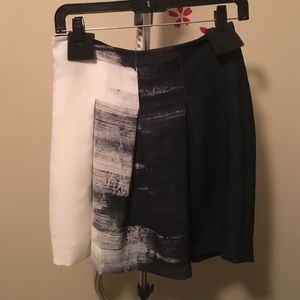 Vince painting skirt