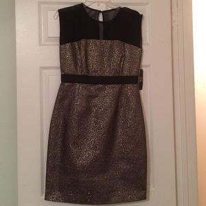 Gold and black cocktail dress. BRAND NEW! NY & C