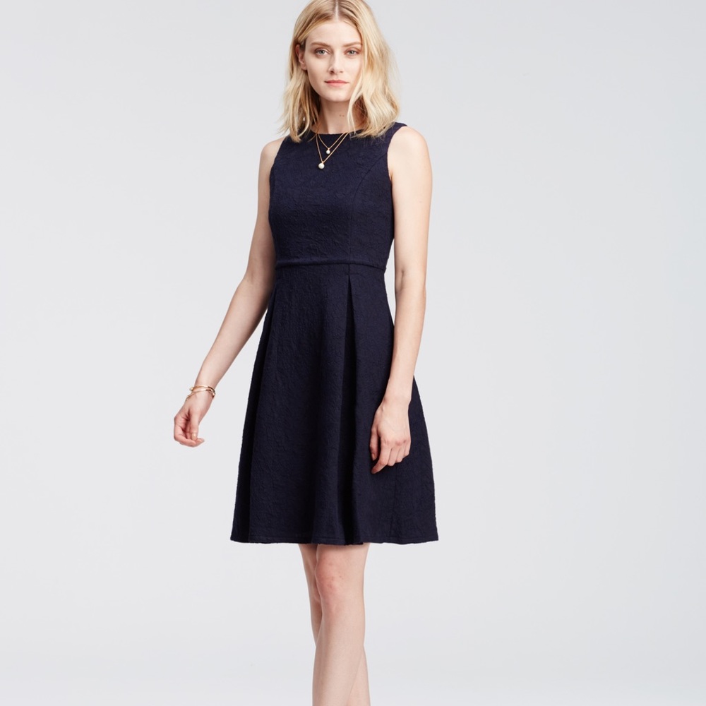 Ann Taylor Jacquard Flare Dress (Petite 00)