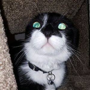 Meet your Posher, Carla