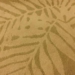 Meet your Posher, Lily