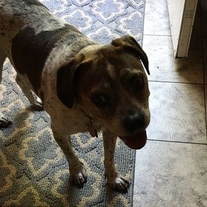 Meet your Posher, Carla