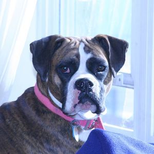 Meet your Posher, Traci