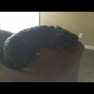 Meet your Posher, Beth