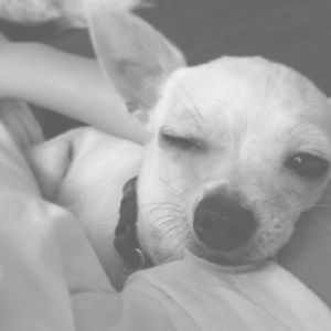 Meet your Posher, Gina