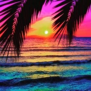 Meet your Posher, Ciara