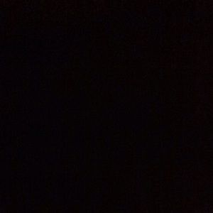 Meet your Posher, Daisy