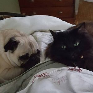 Meet your Posher, Bonnie