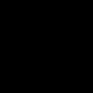 Meet your Posher, Anne