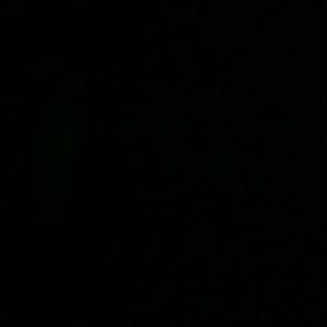 Meet your Posher, Angeline