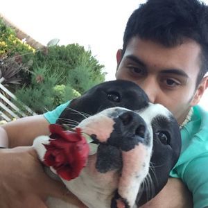 Meet your Posher, Zachary