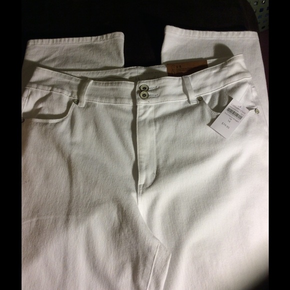 Coldwater Creek Knit Denim Jeans 14 NWT