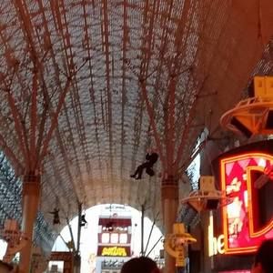 Meet your Posher, Lottie