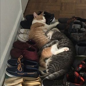 Meet your Posher, Erin