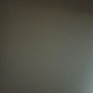 Meet your Posher, Felicia