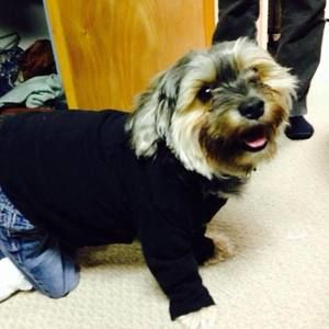 Meet your Posher, Terry