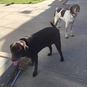 Meet your Posher, Sidney