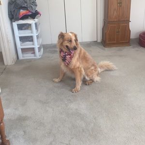 Meet your Posher, Christa