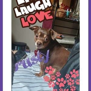 Meet your Posher, Deborah