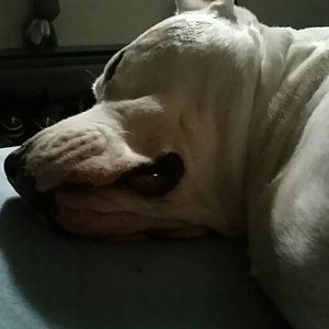 Meet your Posher, Jean