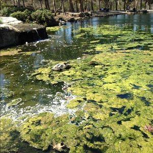 Meet your Posher, Maxwell