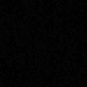 Meet your Posher, Bianca