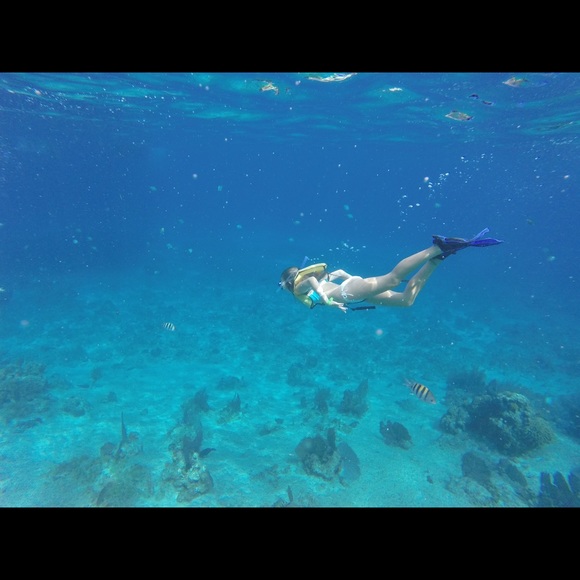 Meet your Posher, Annie - Picture 2 of 3