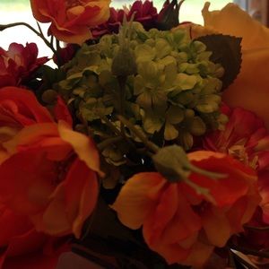 Meet your Posher, Eileen