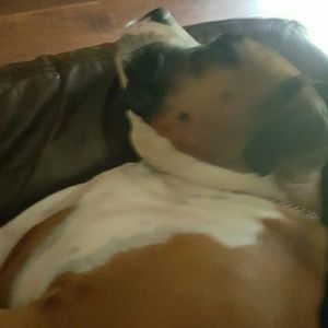 Meet your Posher, Eva